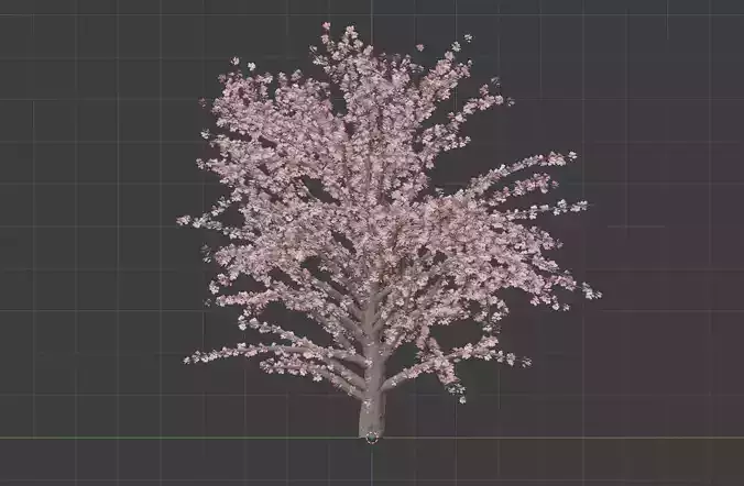 Cherry Blossom Tree 3D Model  3D model