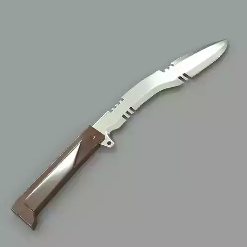 Knife with wooden handle