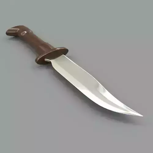 Knife with wooden handle