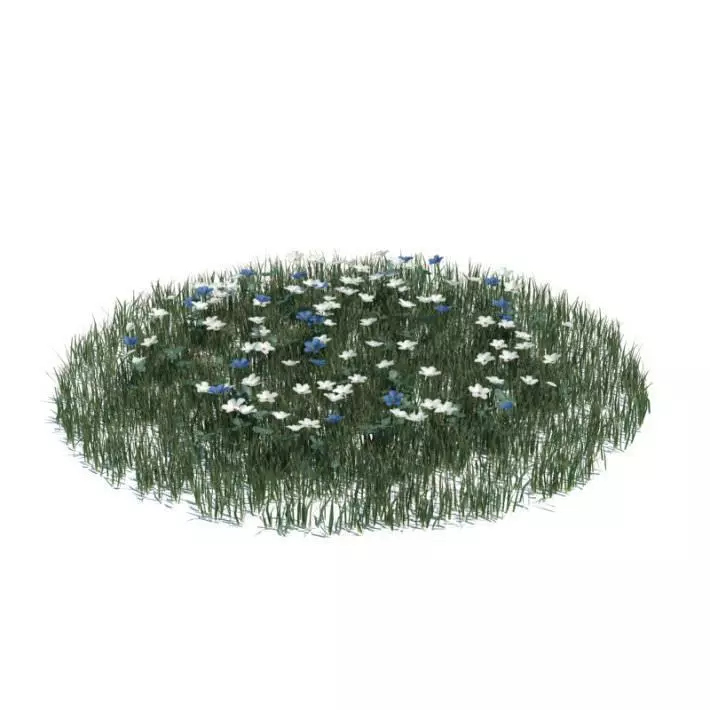 Flowers And Grass 3D model_0
