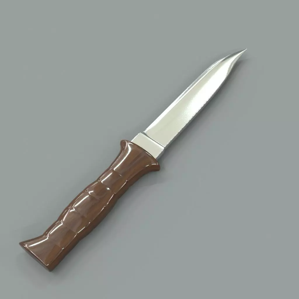 Knife with wooden handle 3D model_0