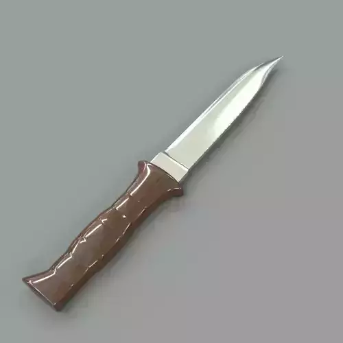 Knife with wooden handle