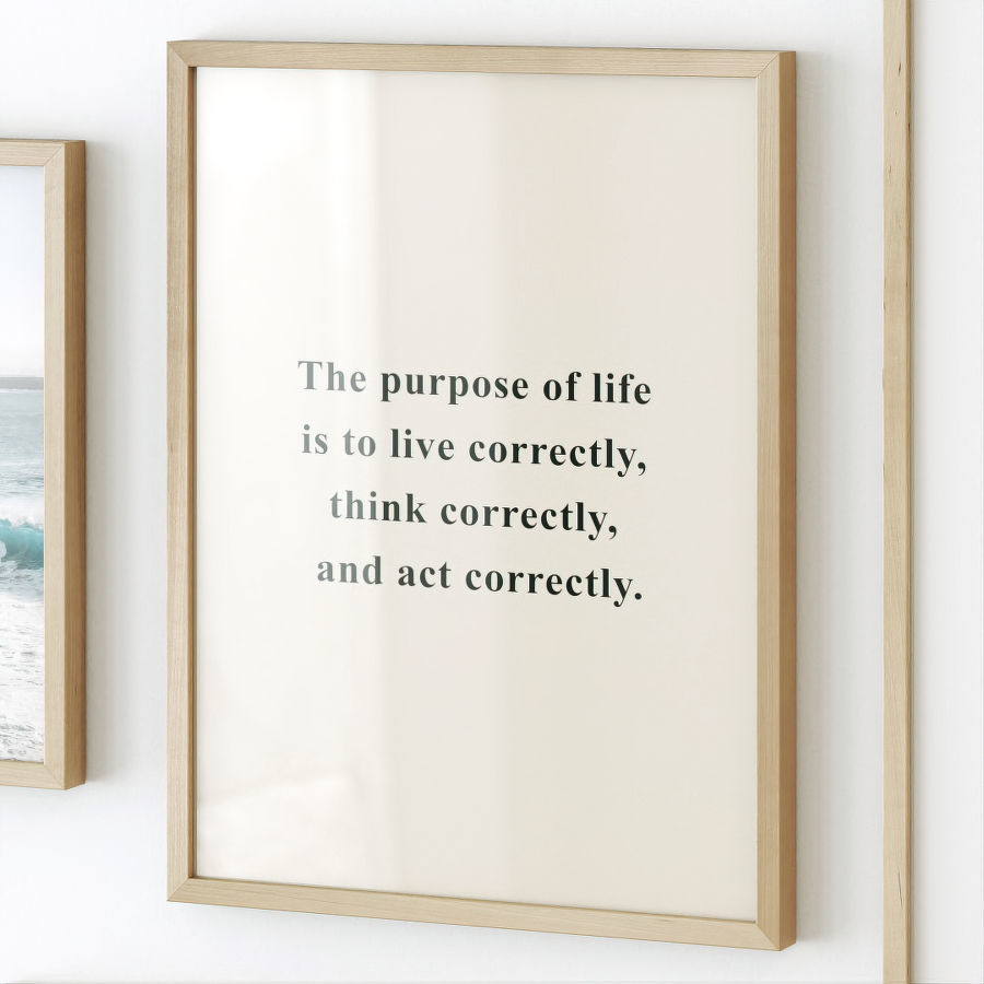 Gallery Wall 141 3D model_2