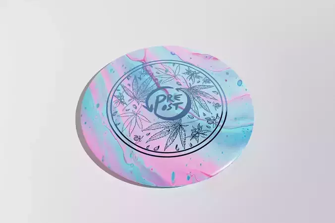 3D Disc Golf Frisbee