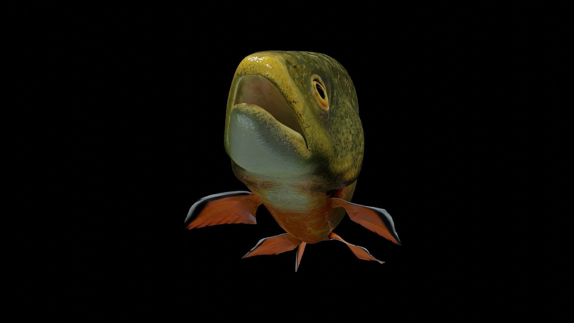 Animated Brook Trout Low-poly 3D model_13