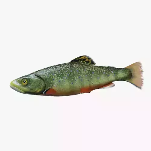 Animated Brook Trout Low-poly 3D model