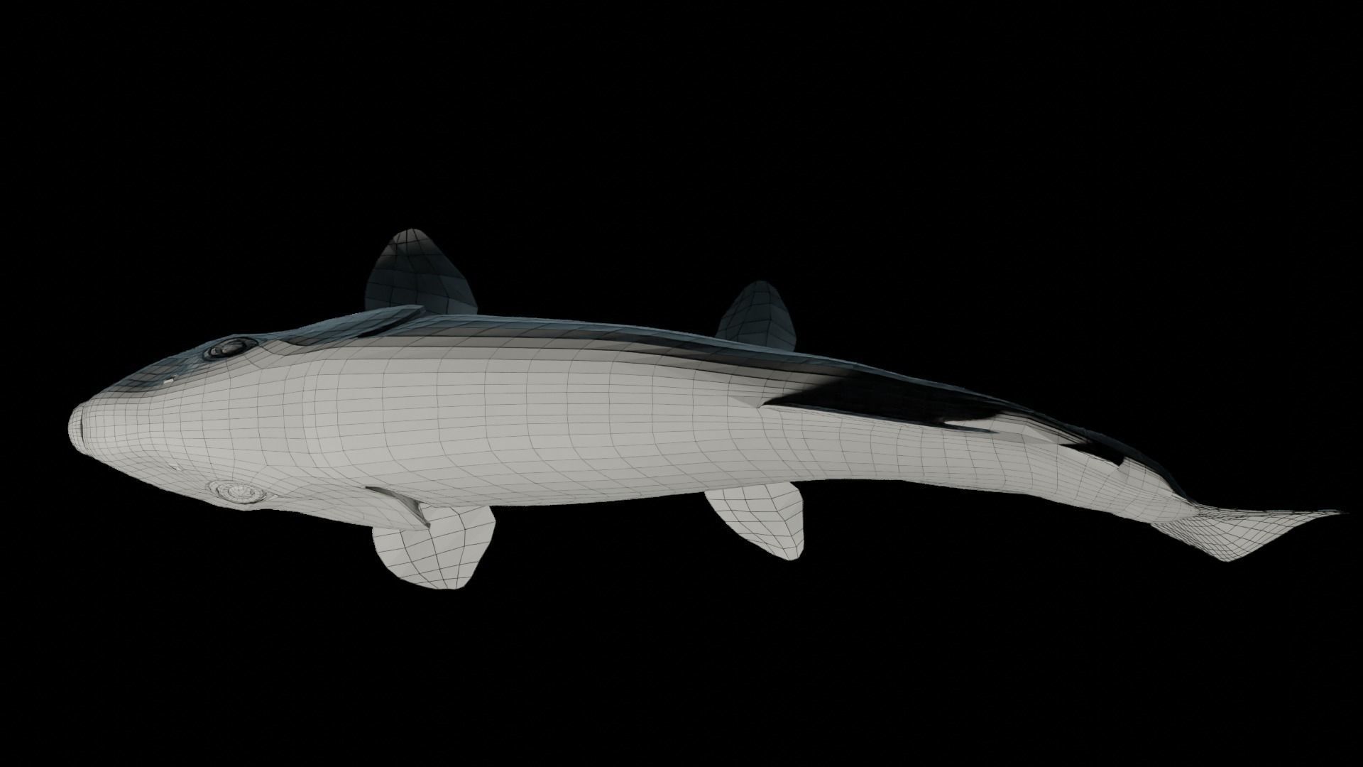 Animated Brook Trout Low-poly 3D model_5