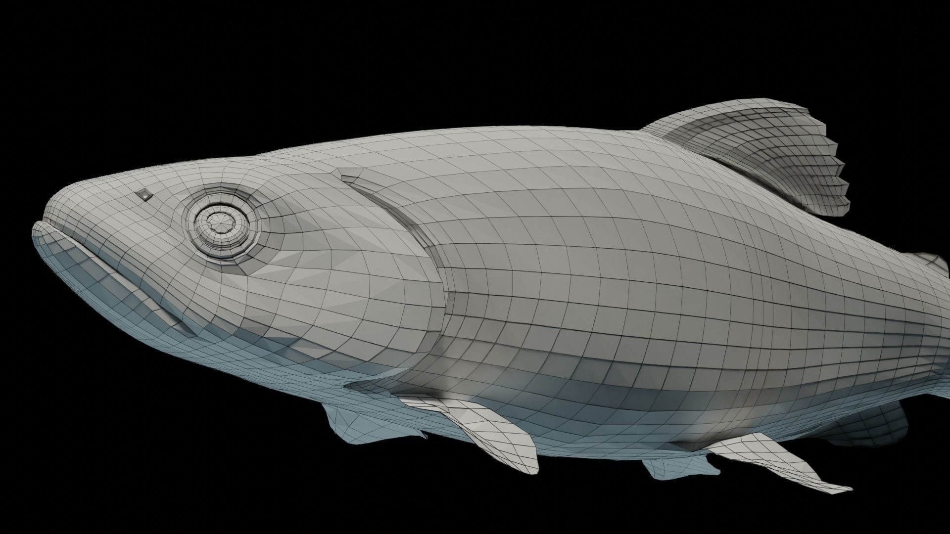 Animated Brook Trout Low-poly 3D model_7