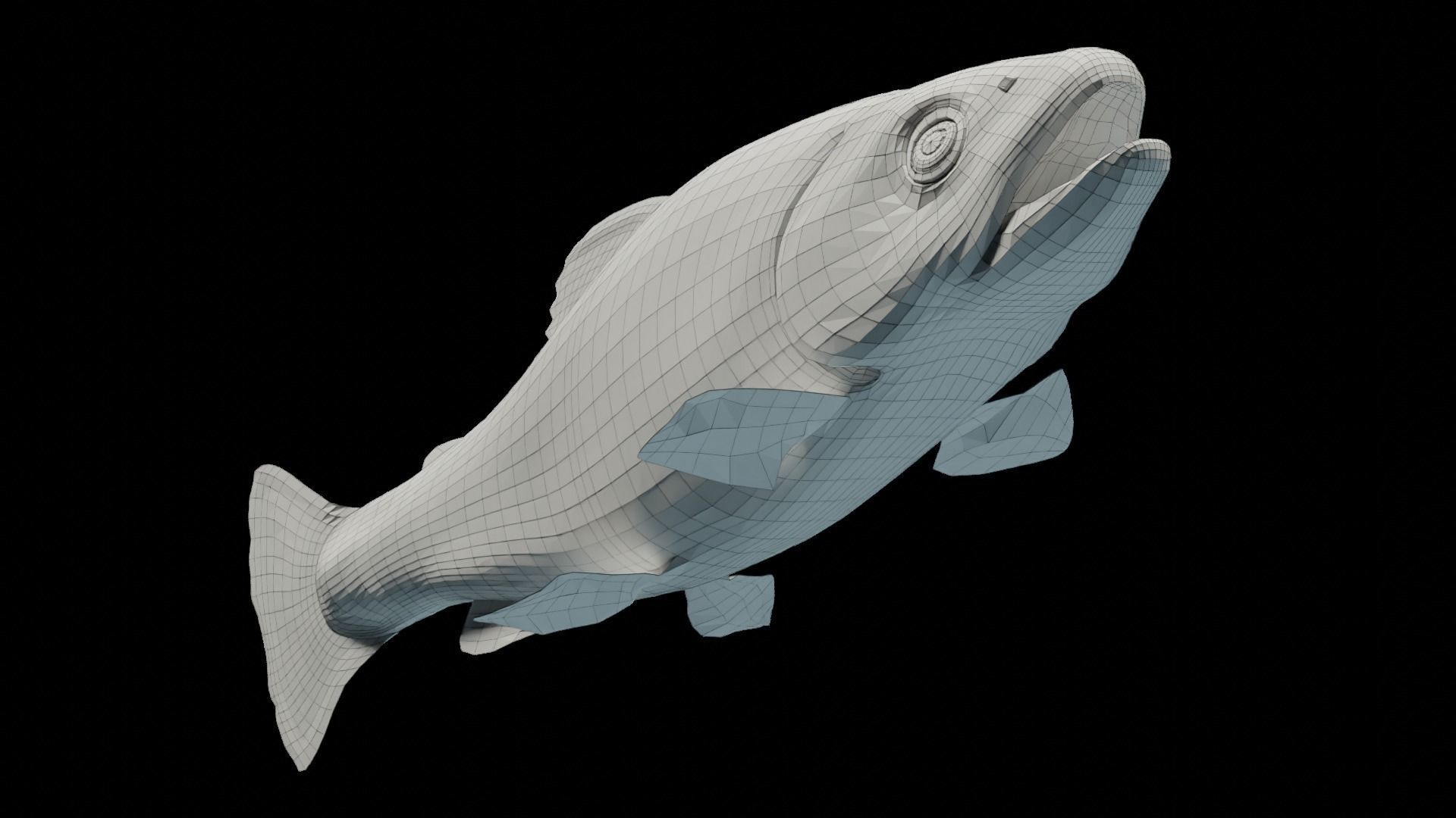 Animated Brook Trout Low-poly 3D model_12