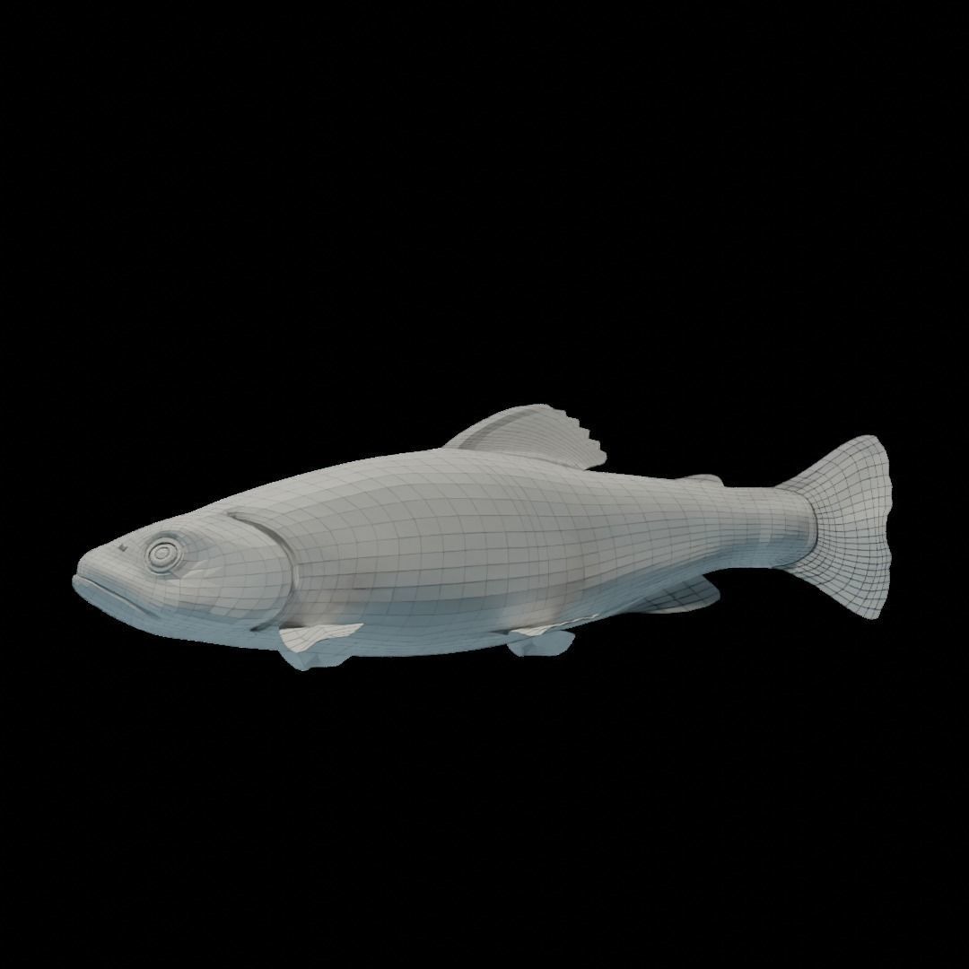 Animated Brook Trout Low-poly 3D model_10