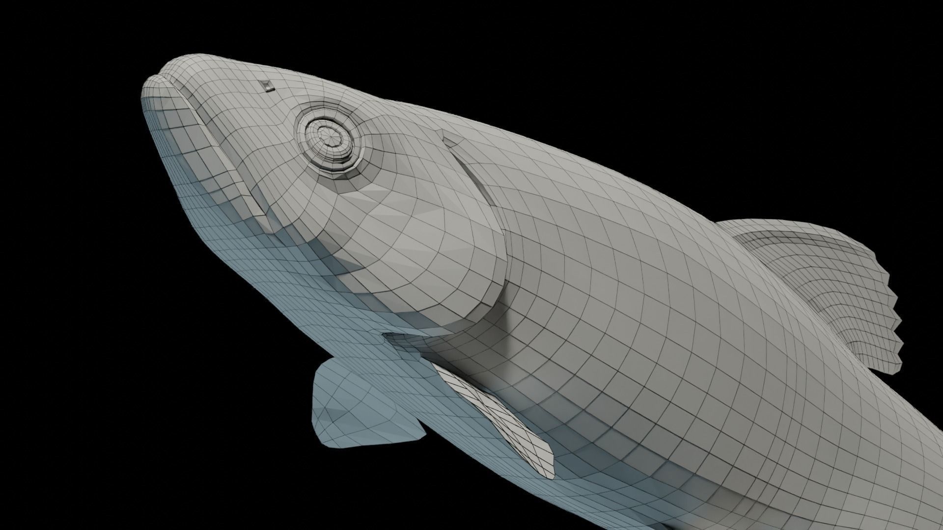 Animated Brook Trout Low-poly 3D model_3