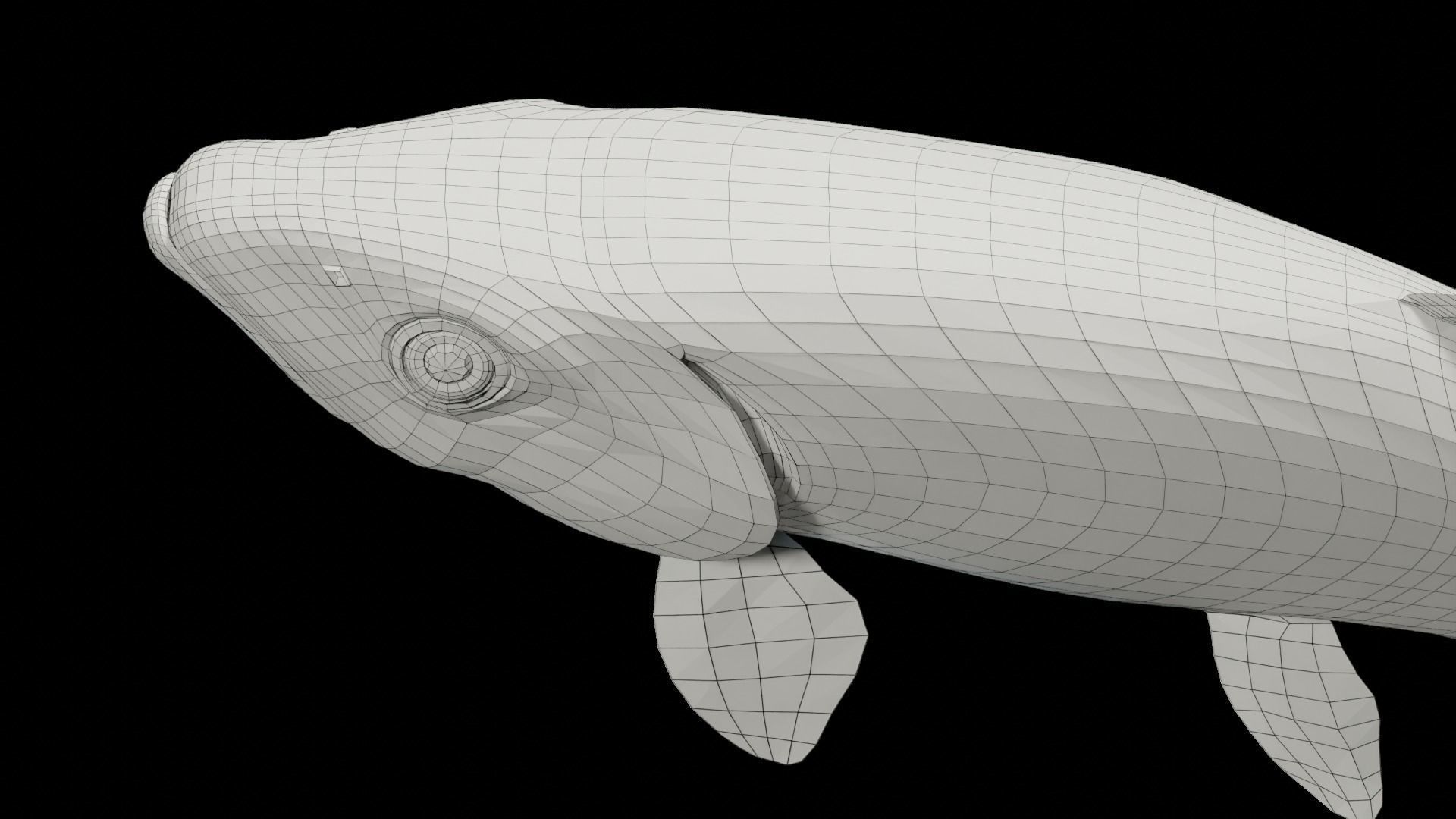 Animated Brook Trout Low-poly 3D model_16