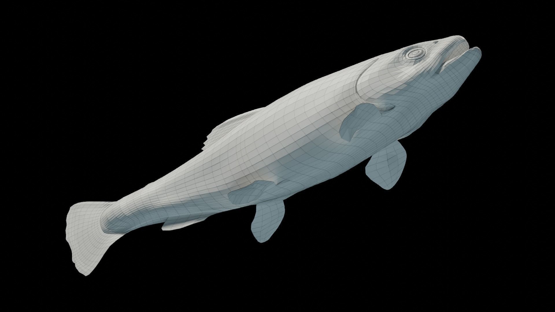 Animated Brook Trout Low-poly 3D model_9