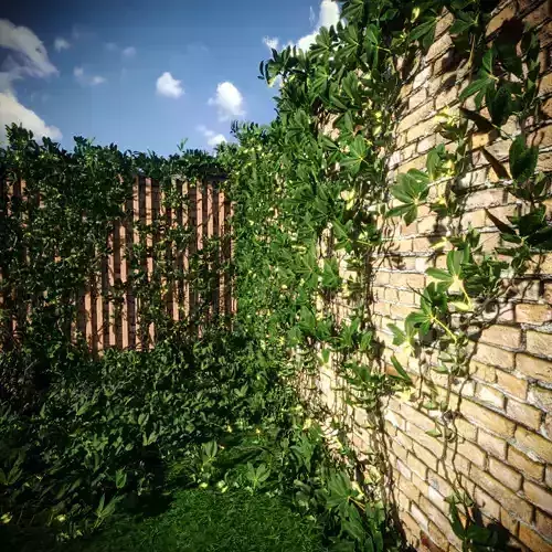 Exterior fencing - VIne - Ivy -brick wall 3D model