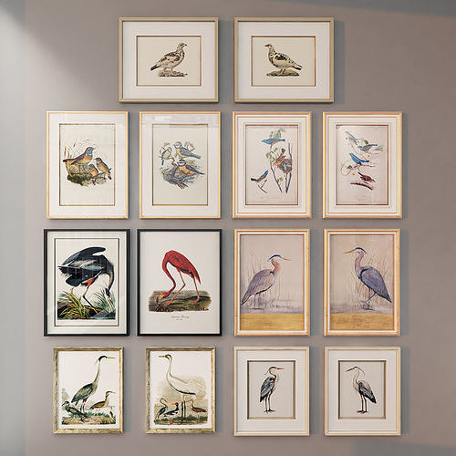 Collection of modern paintings birds john-richard collection 1 3D model