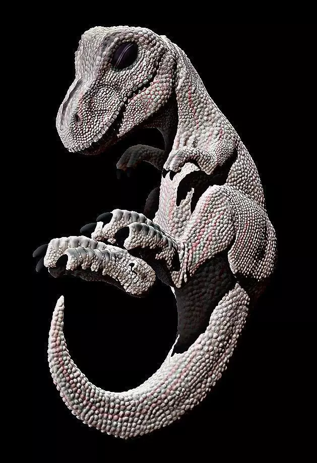 baby rex 3D print model_0