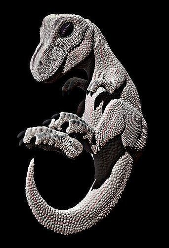baby rex 3D print model
