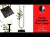 Xavier Delvallee Floor Lamp 3D model_1