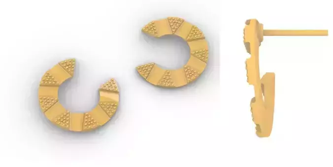 Hoop Pierced Earring