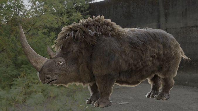 shaggy rhinoceros Low-poly 3D model