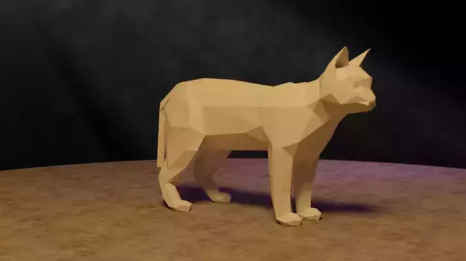Polygonal cat