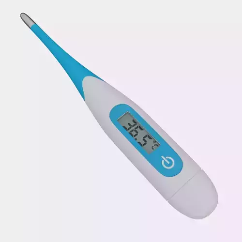 LCD Thermometer