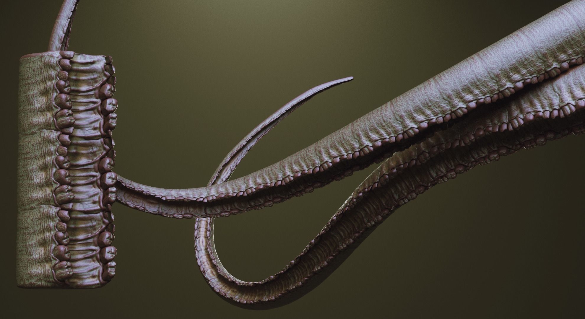 TENTACLES - 40 types in ZBrush brushes and OBJs 3D model_43