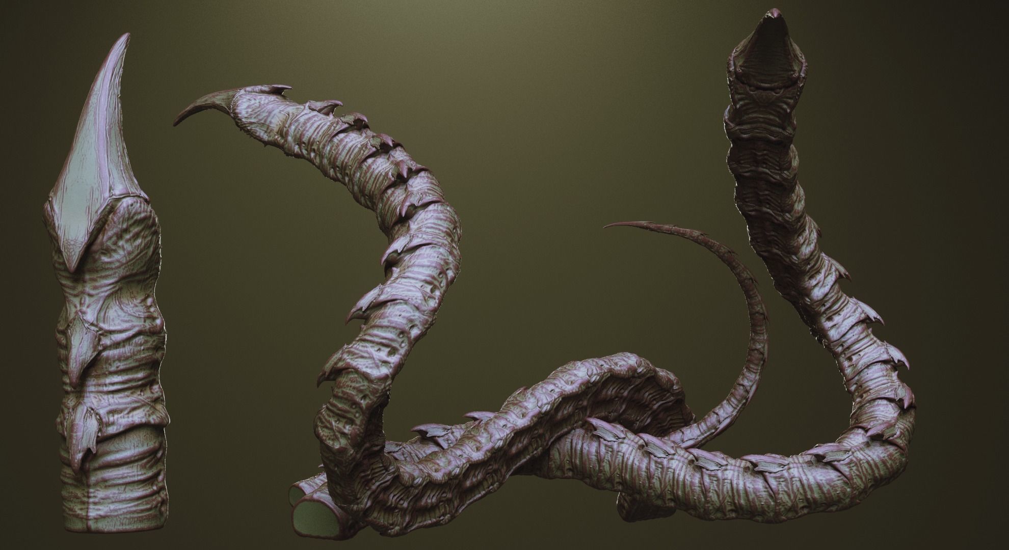 TENTACLES - 40 types in ZBrush brushes and OBJs 3D model_4
