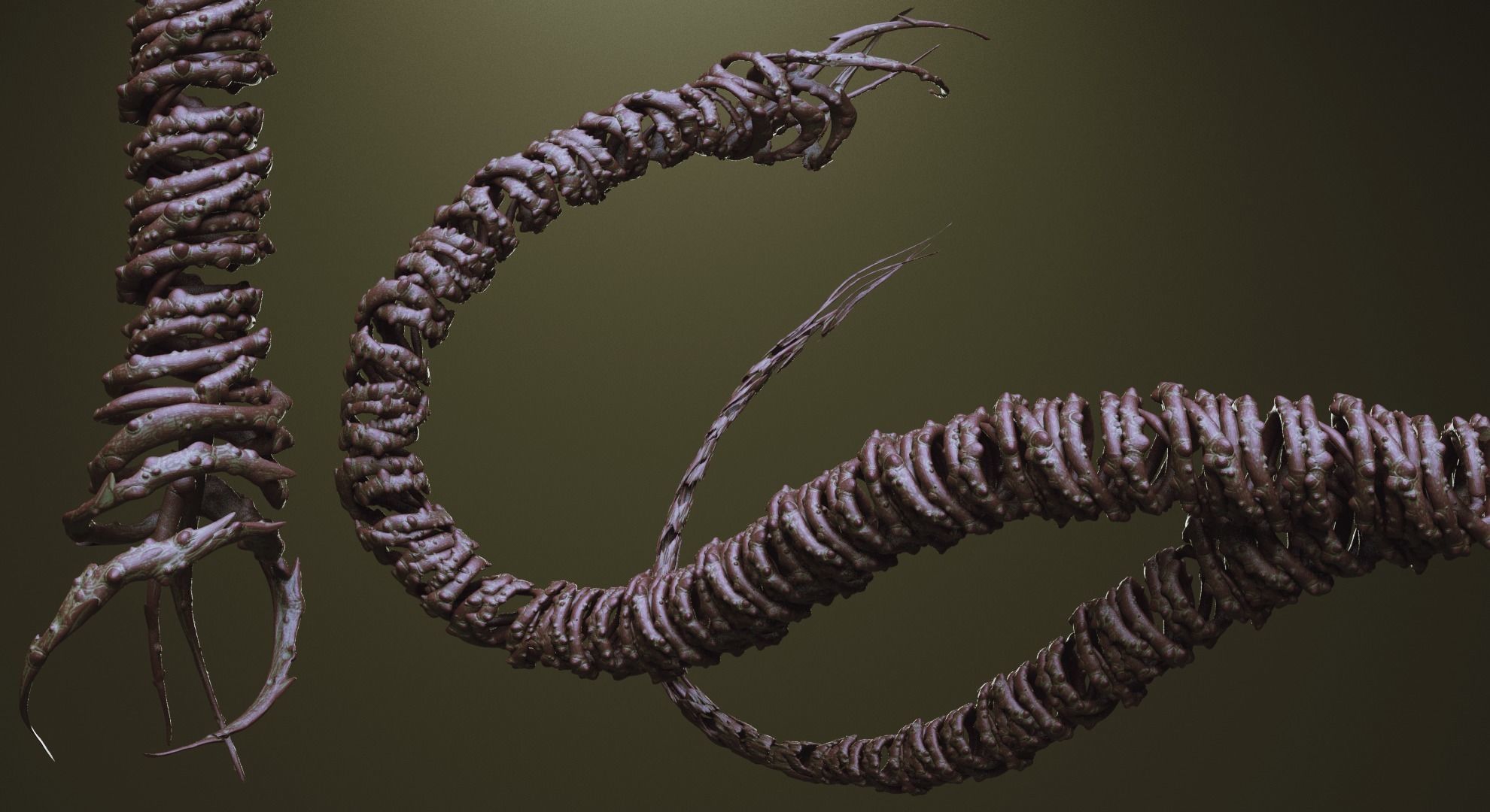 TENTACLES - 40 types in ZBrush brushes and OBJs 3D model_45