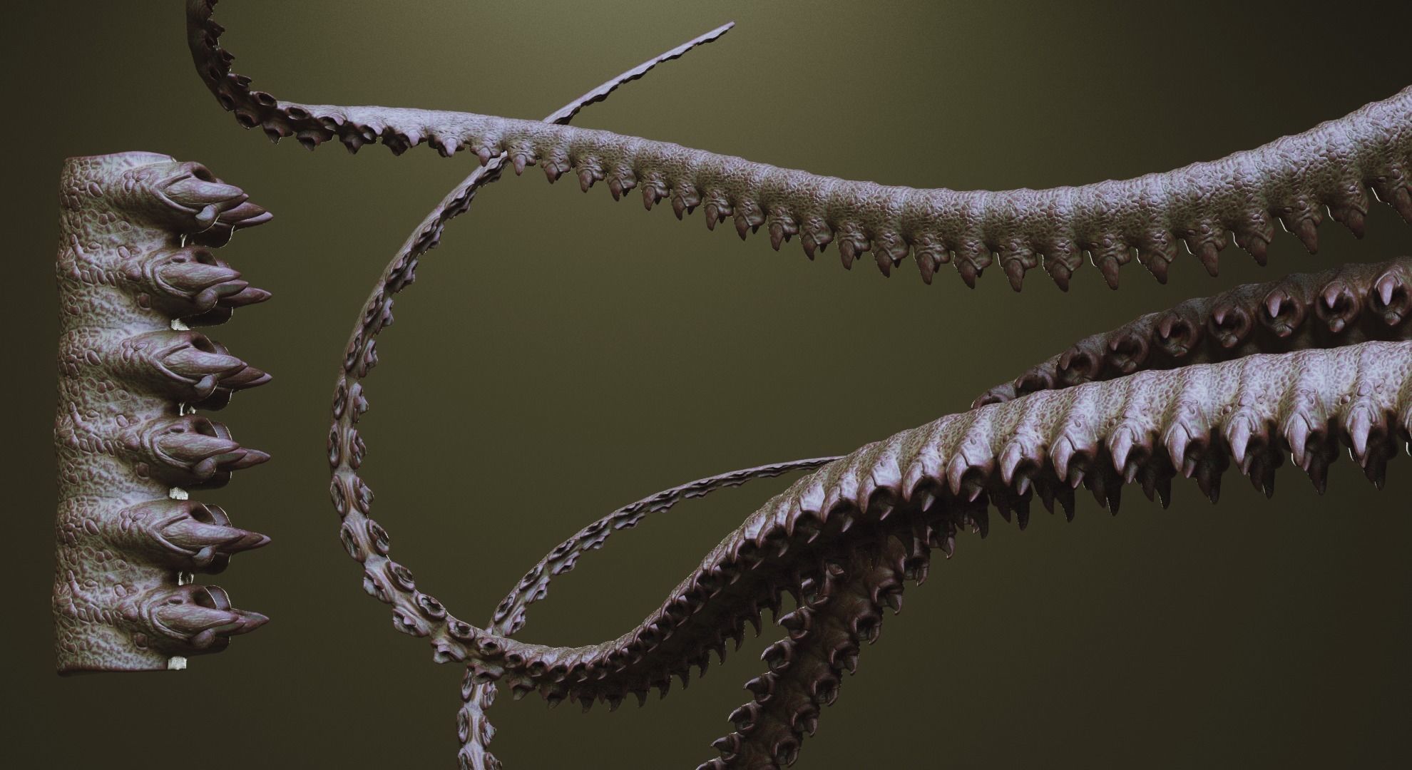 TENTACLES - 40 types in ZBrush brushes and OBJs 3D model_35