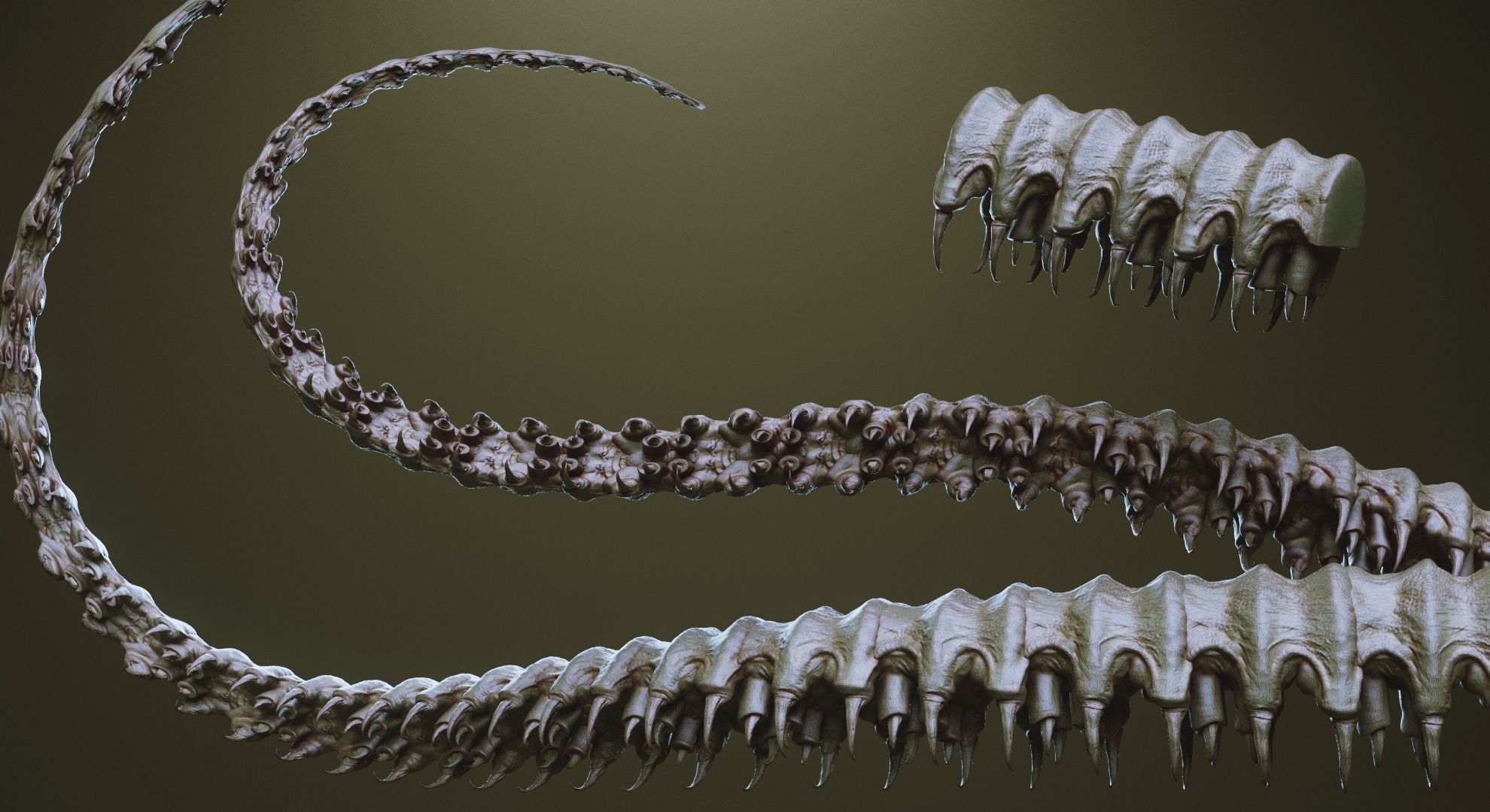 TENTACLES - 40 types in ZBrush brushes and OBJs 3D model_17