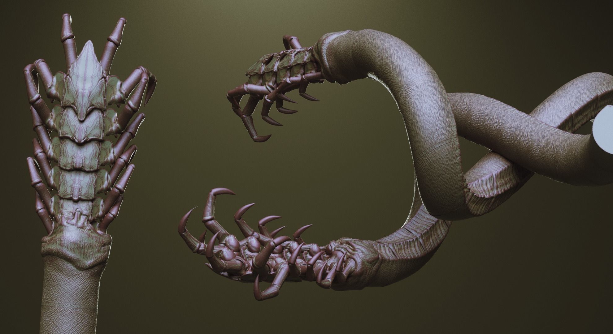 TENTACLES - 40 types in ZBrush brushes and OBJs 3D model_24