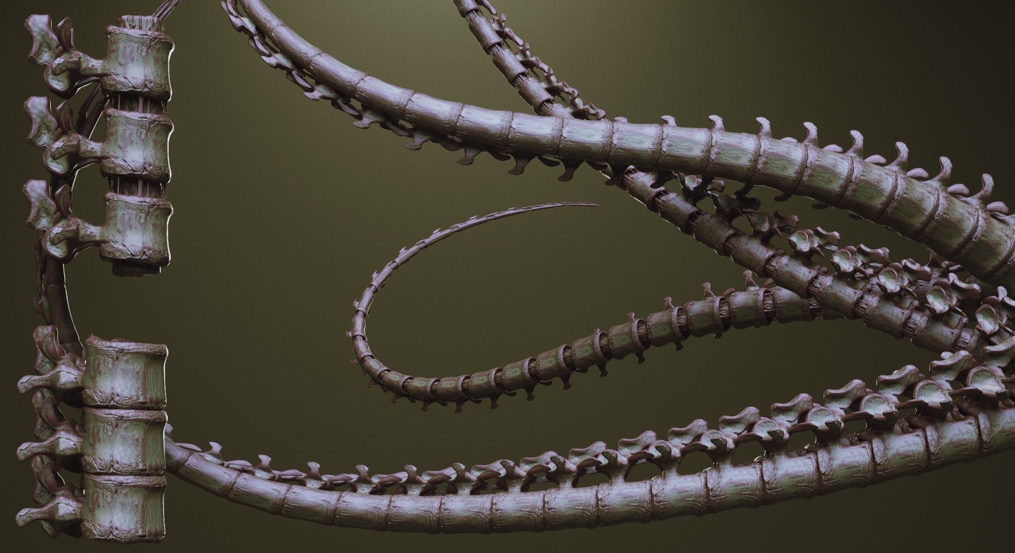 TENTACLES - 40 types in ZBrush brushes and OBJs 3D model_42