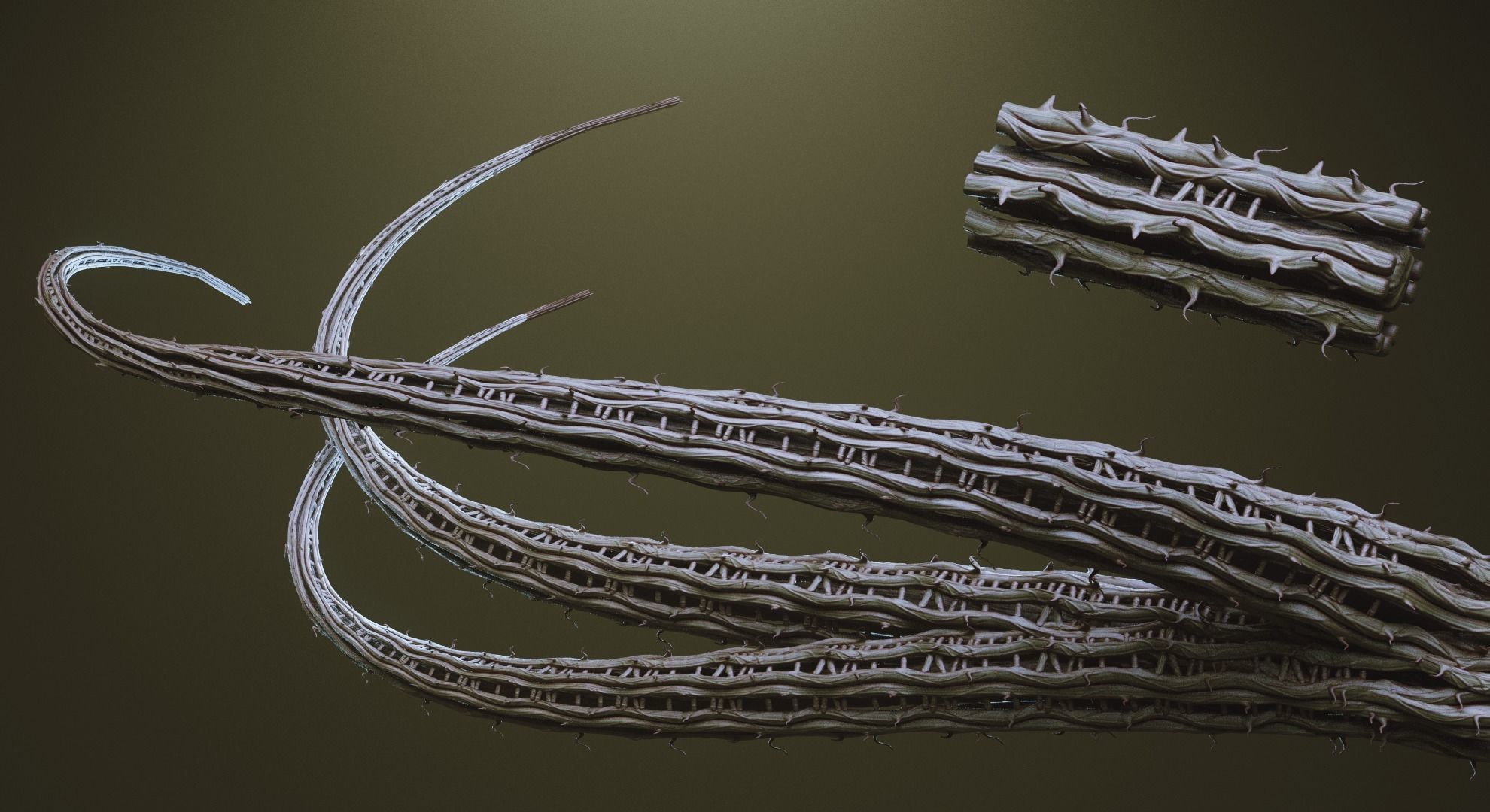 TENTACLES - 40 types in ZBrush brushes and OBJs 3D model_20