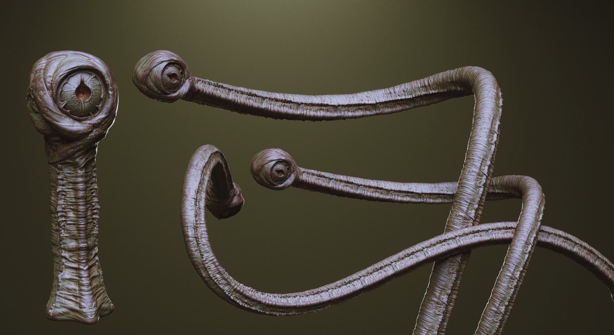 TENTACLES - 40 types in ZBrush brushes and OBJs 3D model_27