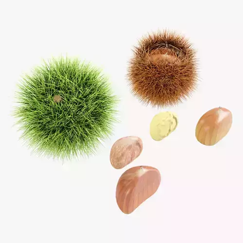 Chestnuts