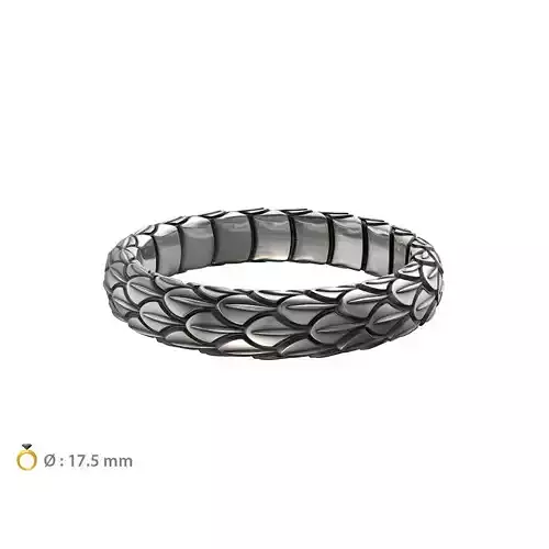 N024-02 Snake large texture ring 3D print model