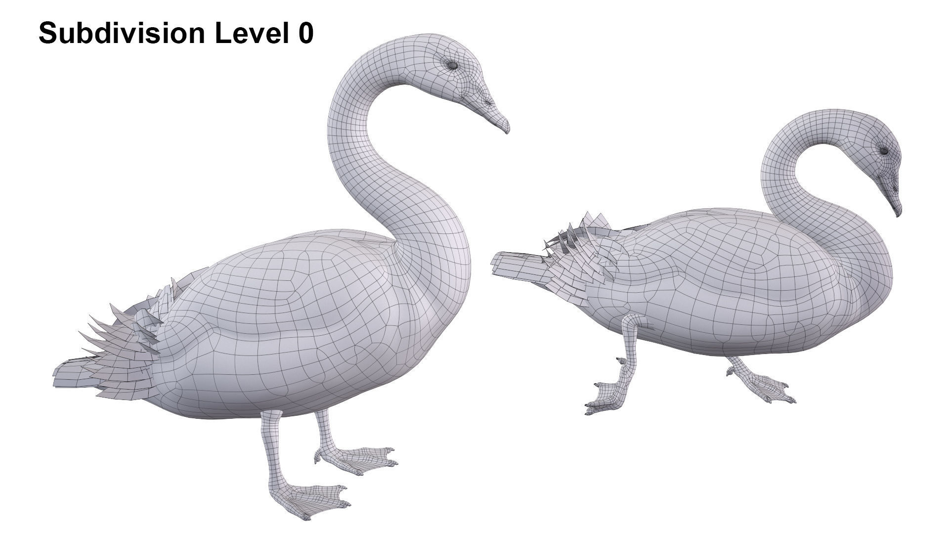 Black Swan 3D model_11