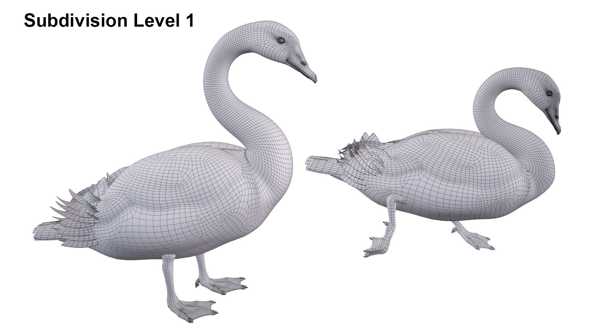 Black Swan 3D model_12