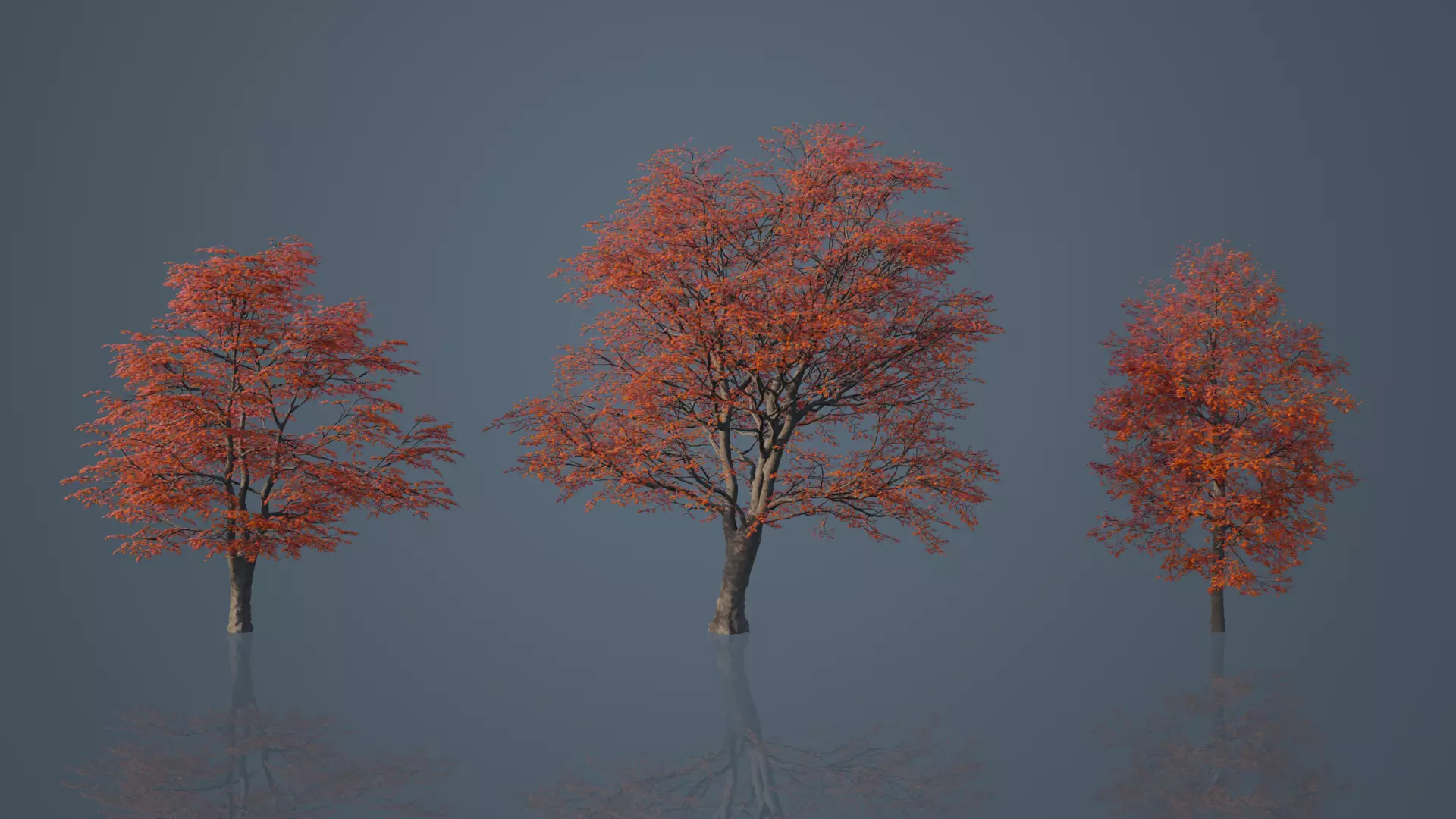 Red Maple Trees Low-poly 3D model