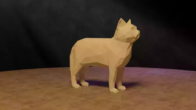 Polygonal Cat