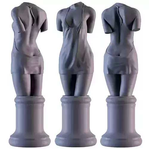 Woman Torso 3D print model