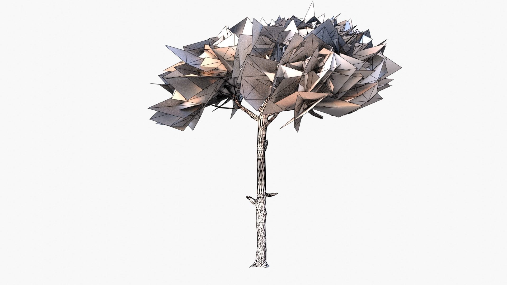 Pinus Pinea - Italian Stone Pine - Lowpoly and Game-Ready Low-poly 3D model_10