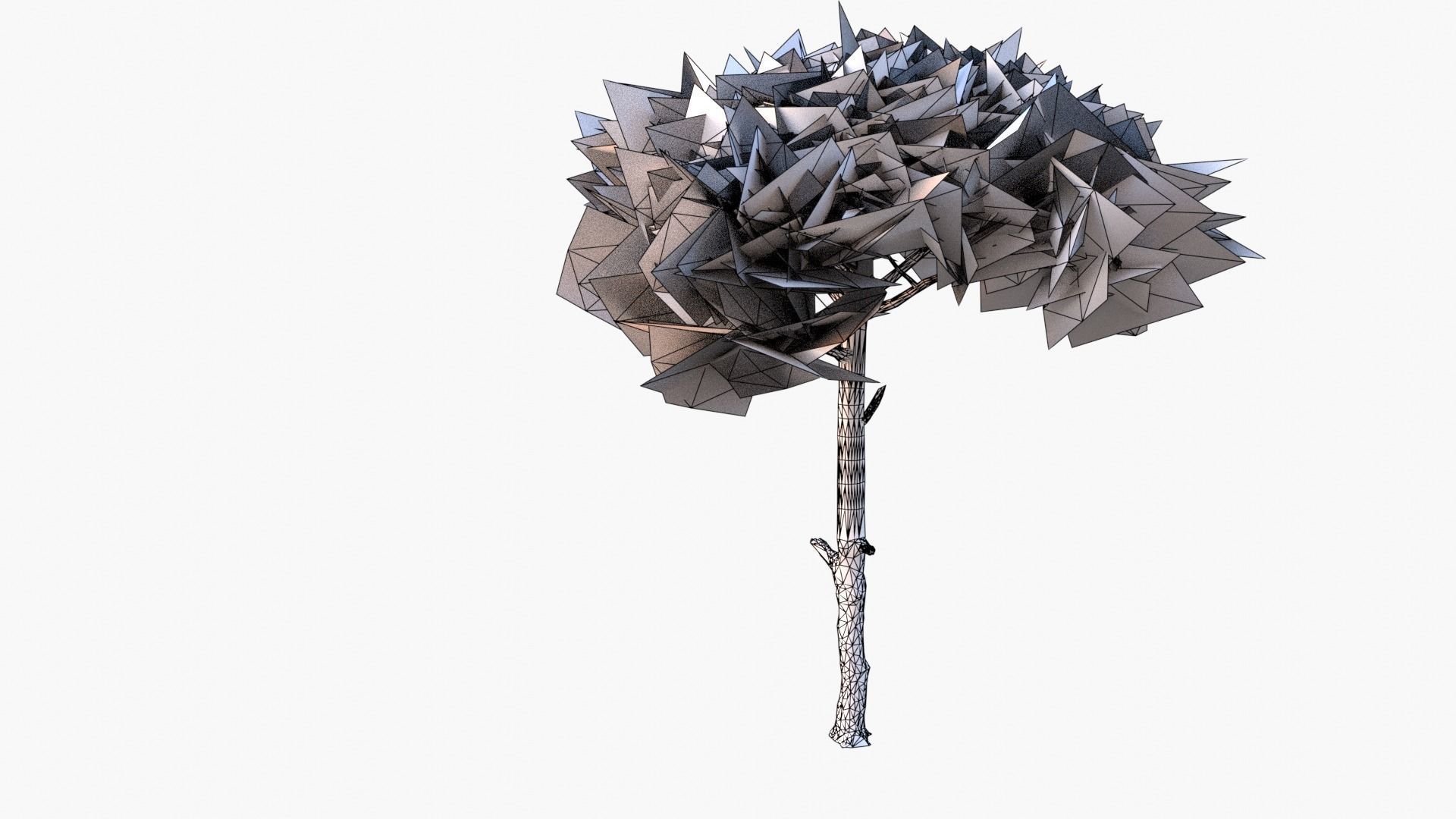 Pinus Pinea - Italian Stone Pine - Lowpoly and Game-Ready Low-poly 3D model_9