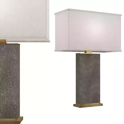 DELANO SHAGREEN LAMP 3D model