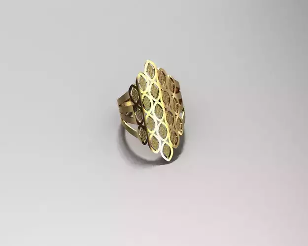 Fission Ring 41  3D print model