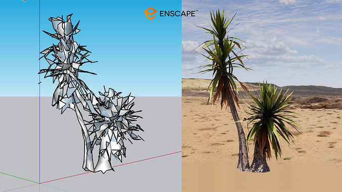 Yucca aloifolia 3D model