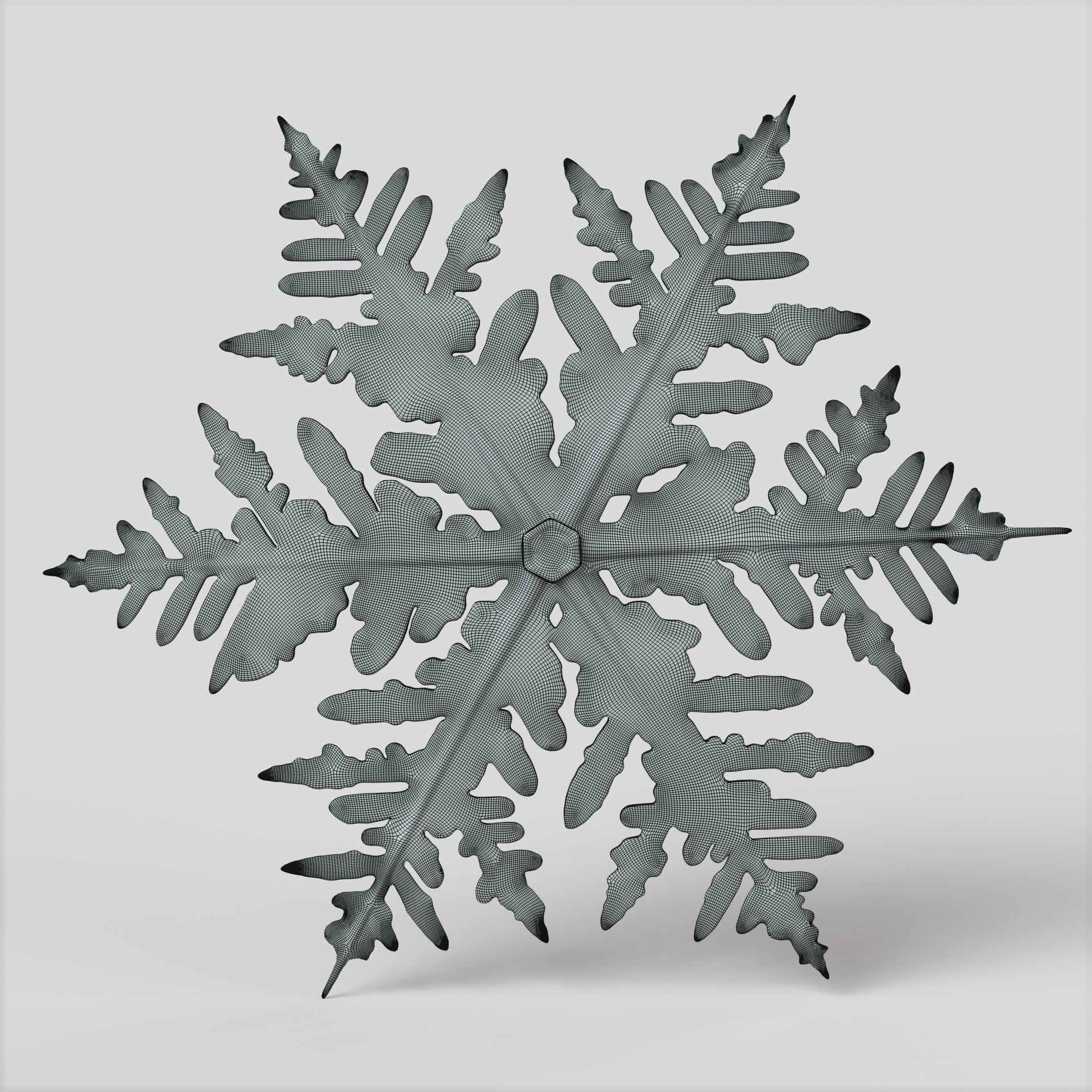 Snowflake 3D model_7