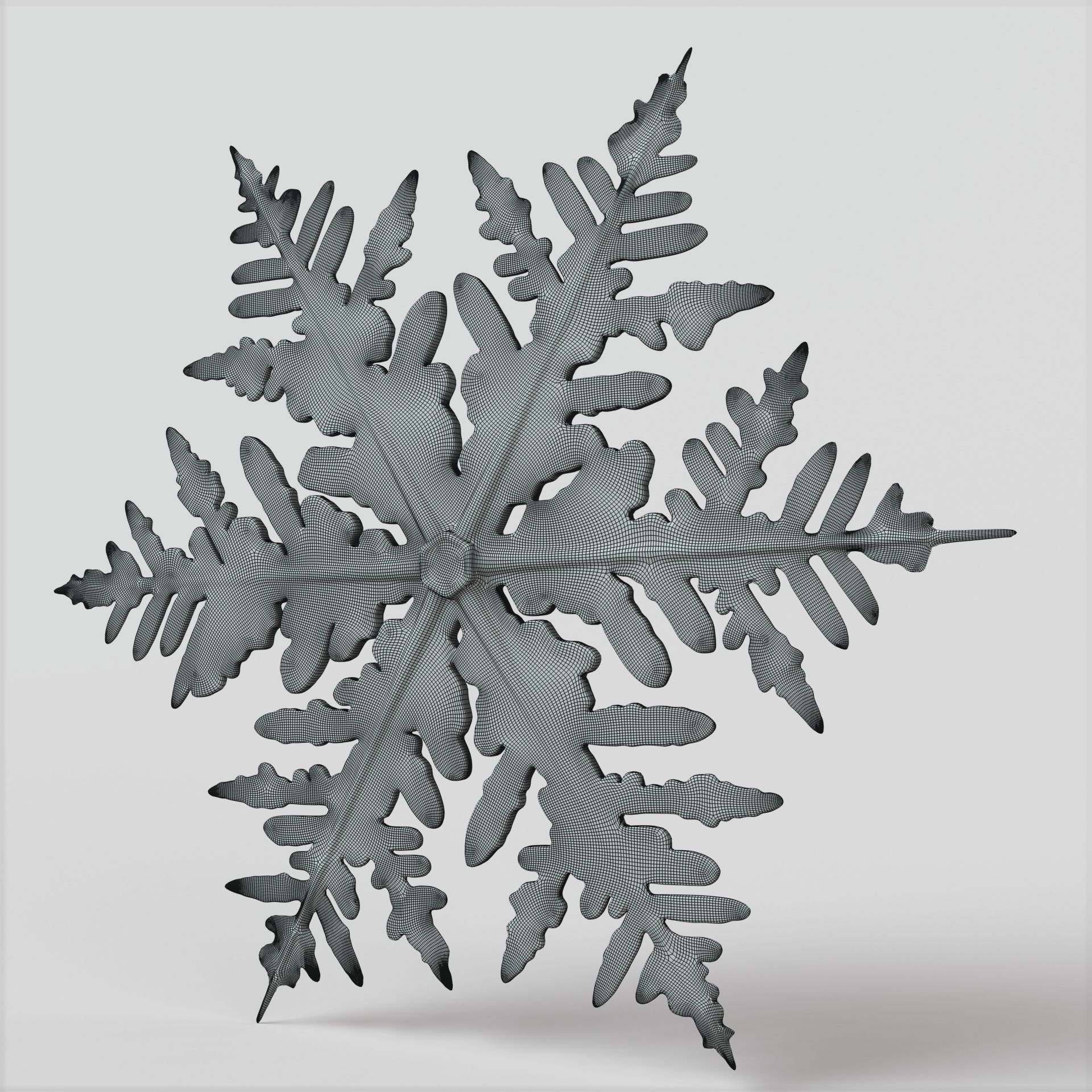 Snowflake 3D model_6