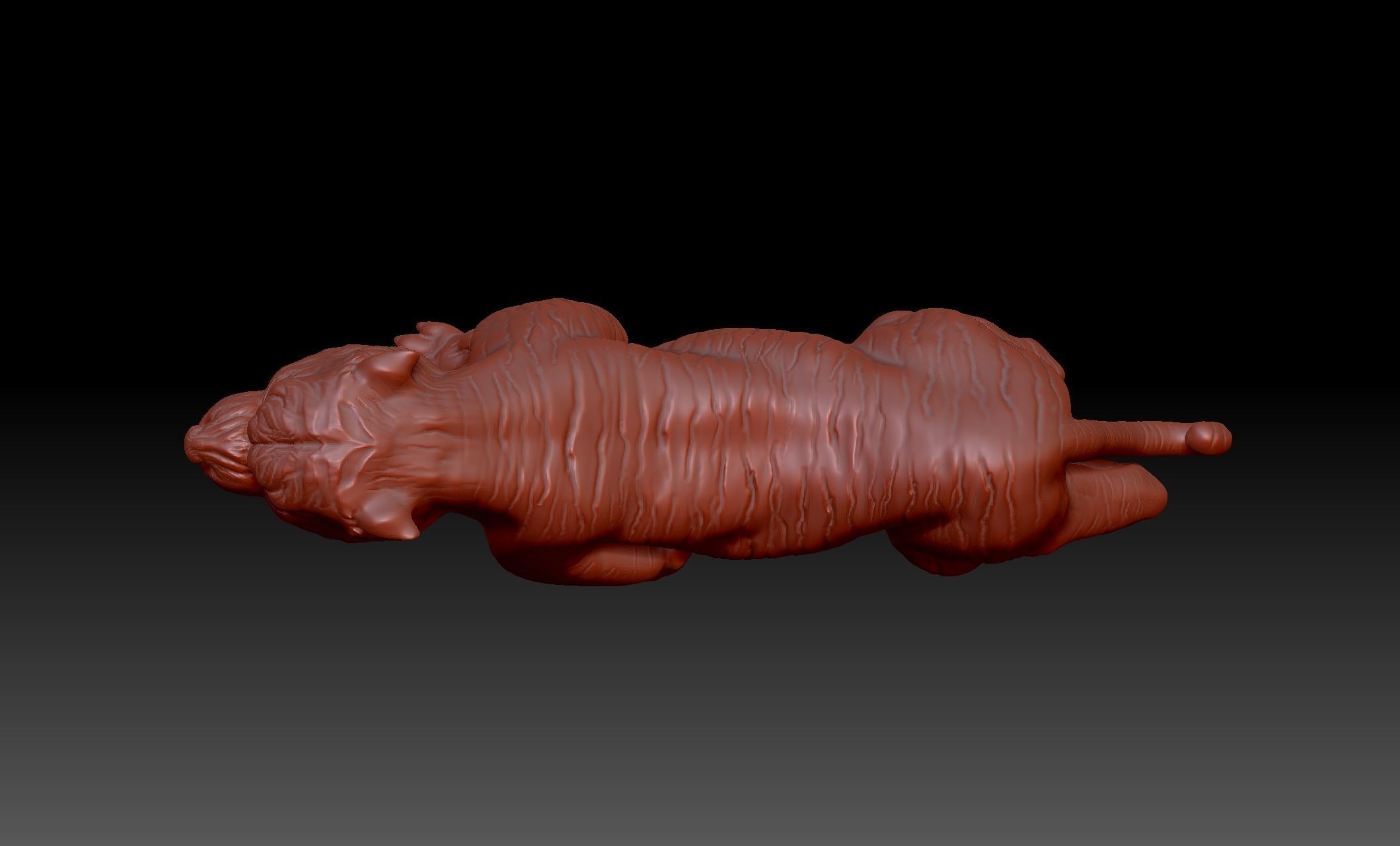 Tiger 3D print model_3